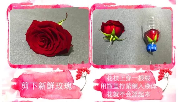 永生花制作教程