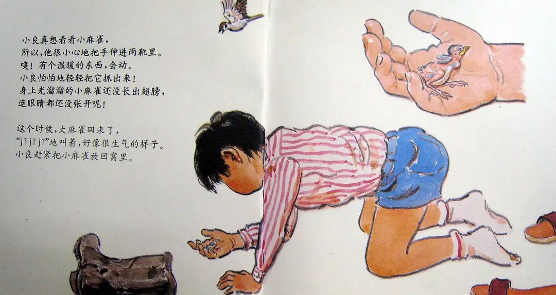 儿童绘本故事《雨靴里的麻雀》