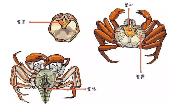 吃螃蟹那些禁忌，是真的吗？