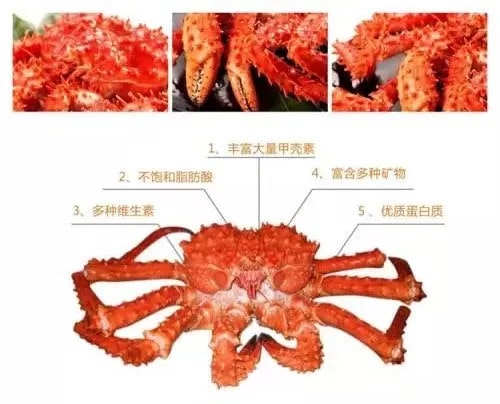 怀孕能吃螃蟹吗