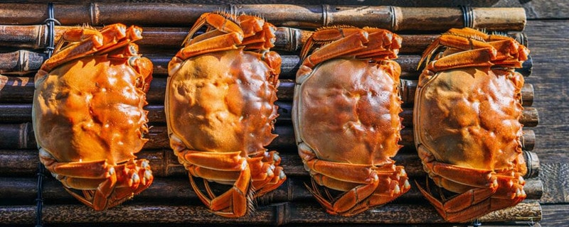 怀孕能吃螃蟹吗