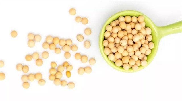 10个催奶的素食食物 催乳养颜必备