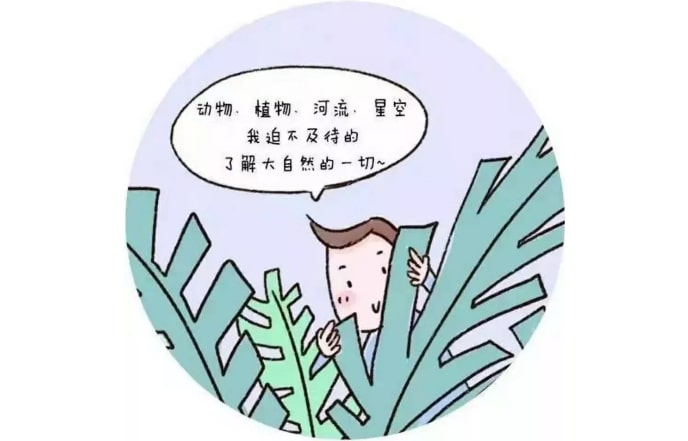 捕捉儿童敏感期