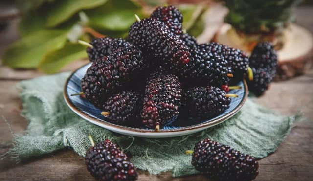 十大降火的水果有哪些