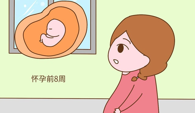 胎儿智力发育的三个黄金周