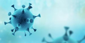 新冠病毒的自述作文800字