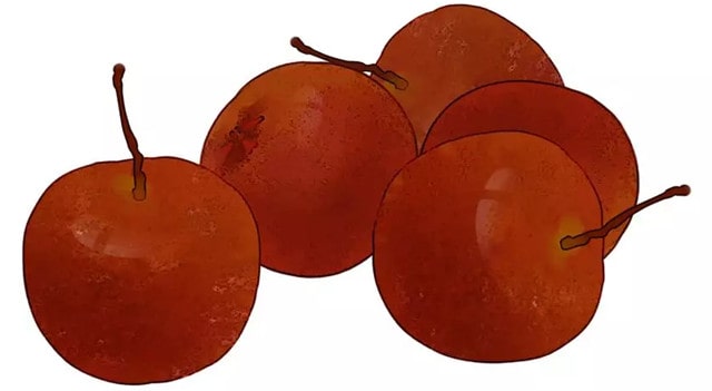 坐月子可以吃什么水果