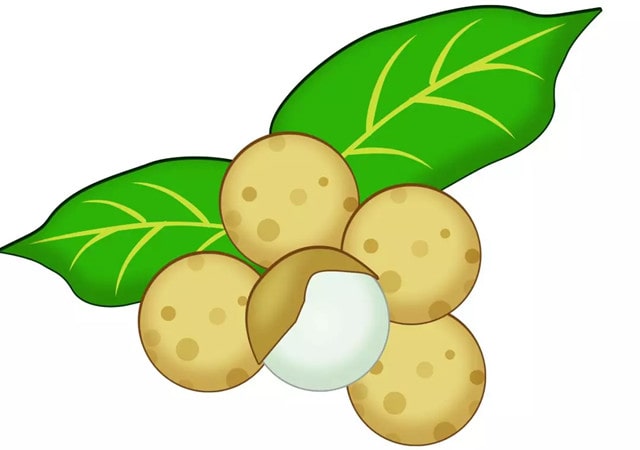 坐月子可以吃什么水果