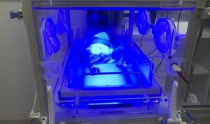 婴儿保温箱费用可以报销吗？