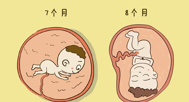 早产儿七活八不活是真的吗？