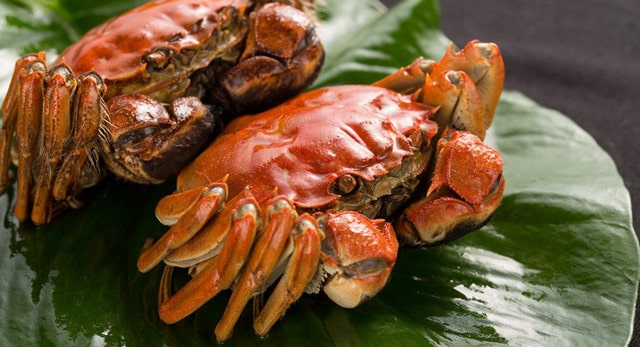 孕妇可以吃螃蟹吗？吃一只解馋行不行