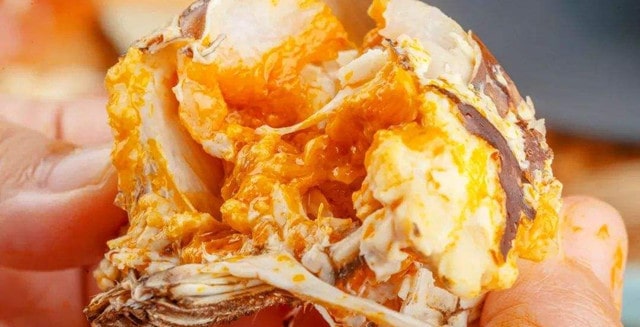 孕妇可以吃螃蟹吗？吃一只解馋行不行