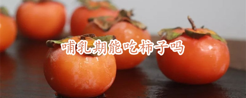 哺乳期能吃柿子吗