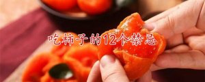 吃柿子的12个禁忌