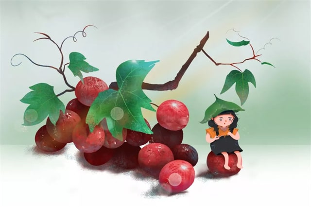 秋天多吃这8种金牌水果，孩子少生病