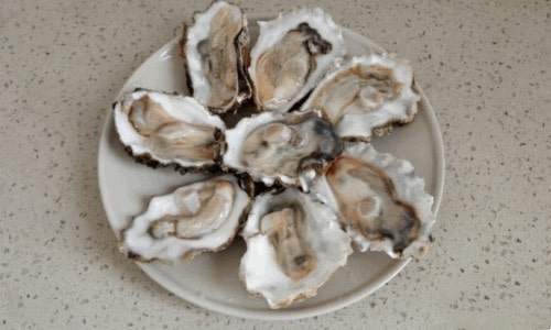 生蚝的做法蒸几分钟