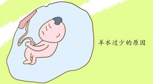 羊水过少的原因