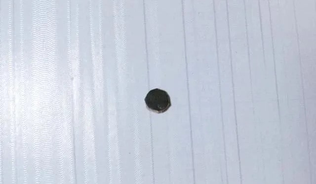 幼儿园简单一点的树叶粘贴画小鸟