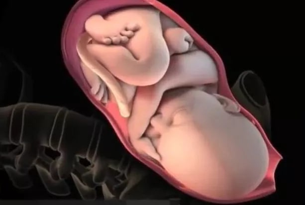 孕妇顺产过程是怎么样的