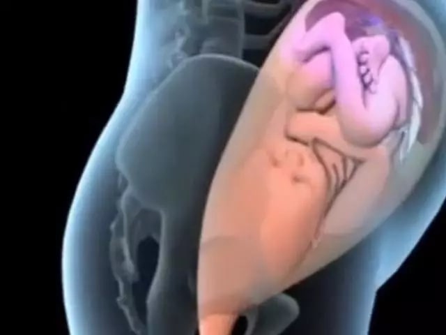 孕妇顺产过程是怎么样的