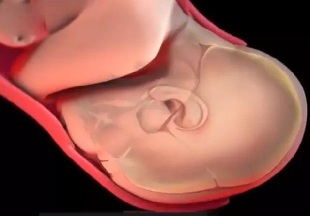 孕妇顺产过程是怎么样的