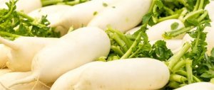 白萝卜的功效与作用