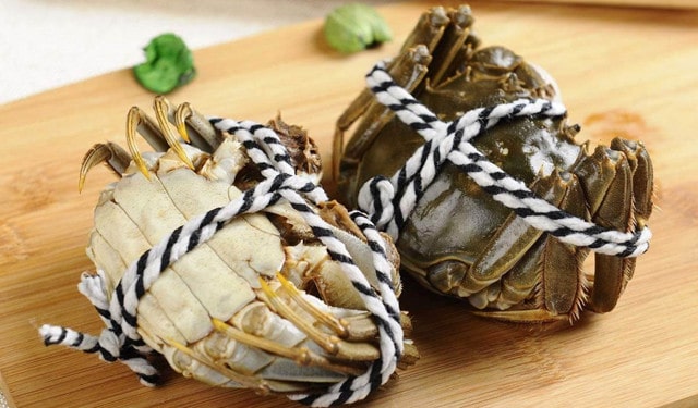 大闸蟹母蟹和公蟹哪个好