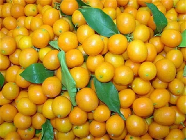 宝宝辅食特辑《果蔬篇》