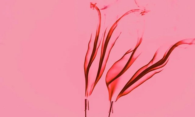 产后多久来例假