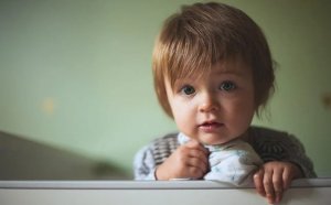 宝宝吃什么补脑 八种食物补脑又补视力