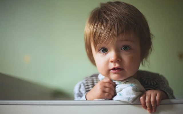 宝宝吃什么补脑 八种食物补脑又补视力