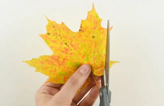 树叶粘贴画蝴蝶