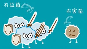 这四个时间点喝益生菌，效果翻倍