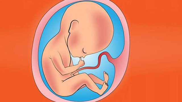 胎儿发育猛长期，孕妈会有这3个感觉