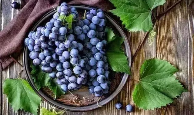 孕妇常吃这5种水果，有利于胎儿健康发育