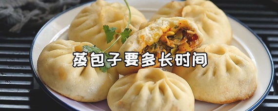 蒸包子要多长时间