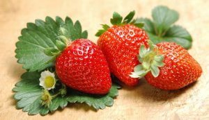 孕妇必吃的12种水果