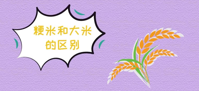 粳米和大米的区别