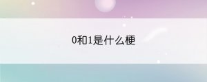 0和1是什么梗