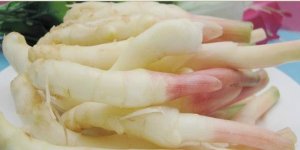 孕妇能吃嫩姜吗