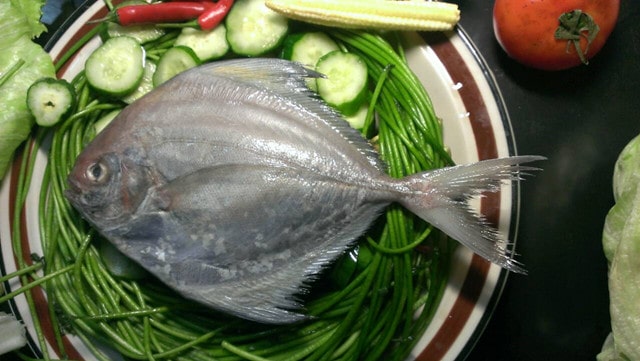 黑鲳鱼的功效与作用