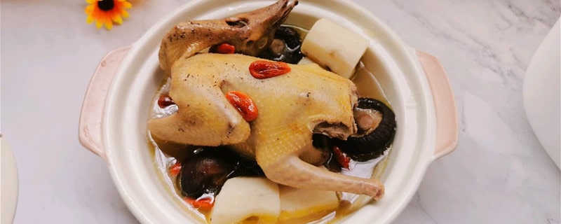 鸽子汤怎么炖好喝又营养