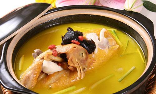 鸽子汤怎么炖好喝又营养