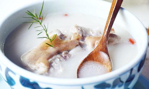 鸽子汤怎么炖好喝又营养