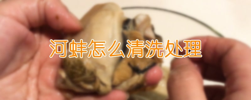 河蚌怎么清洗处理