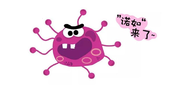 诺如病毒是什么病