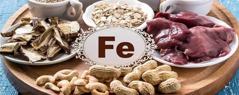 孕妇贫血的人吃什么食物好