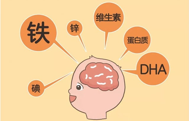 宝宝大脑发育吃什么好