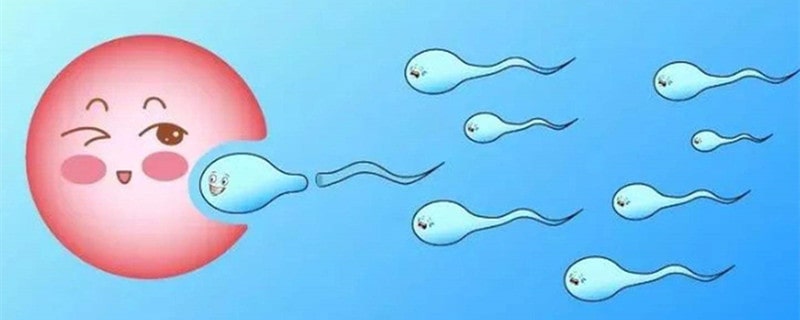 不排卵能怀孕吗