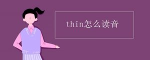 thin怎么读音发音音标